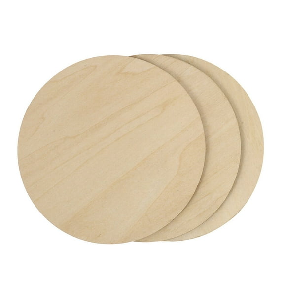 HEALEEP 3Pcs Wood Circles for Diy Unfinished Wood Crafts General Crafting