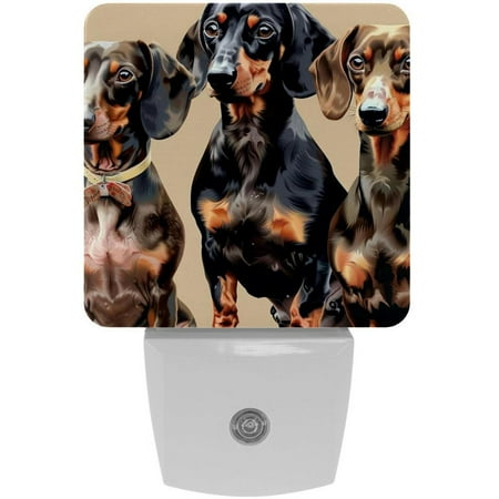 

Dachshund LED Square Night Lights - Energy Efficient and Contemporary Design - for Bedrooms and Hallways - Includes Sensor with Auto on/Off - Easy Installation