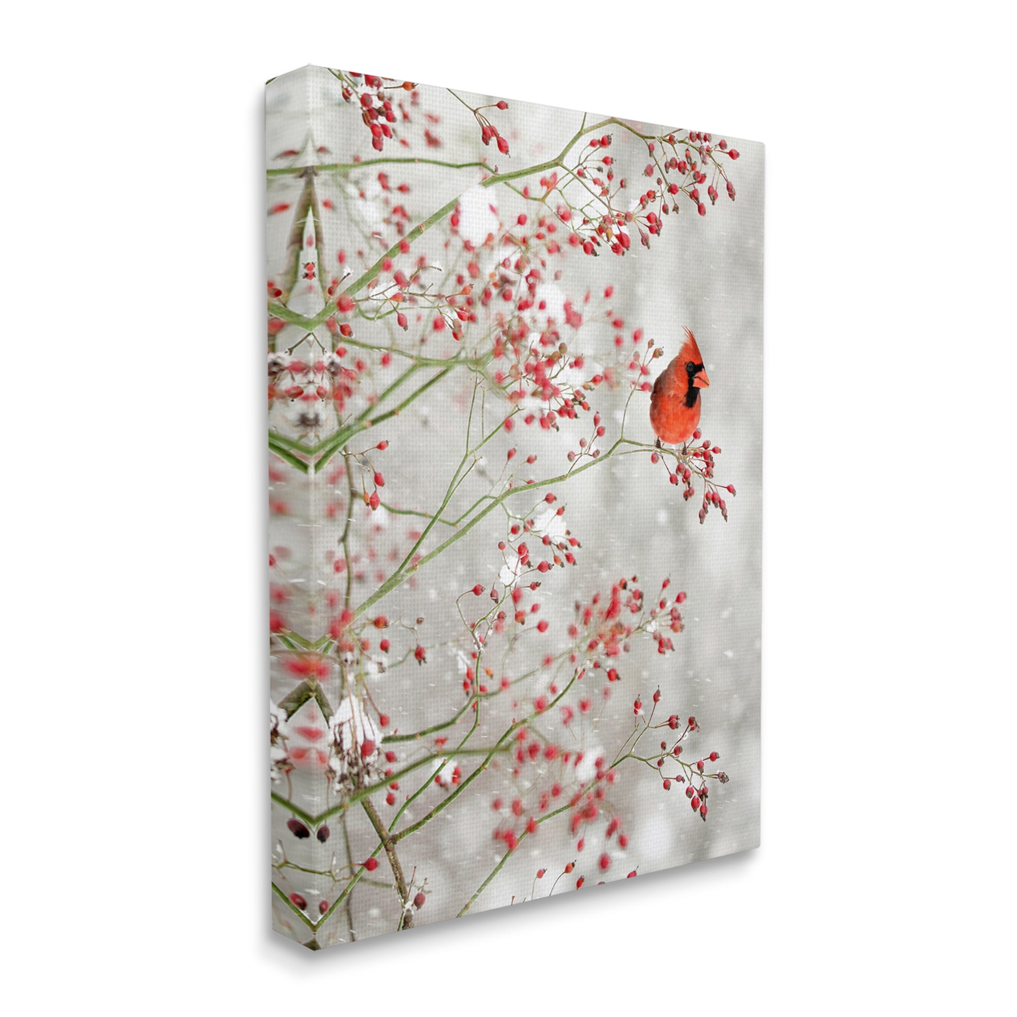 Stupell Industries Cardinal Seasonal Holly Berries Animals & Insects Photography Gallery Wrapped Canvas Print Wall Art, 24 x 30