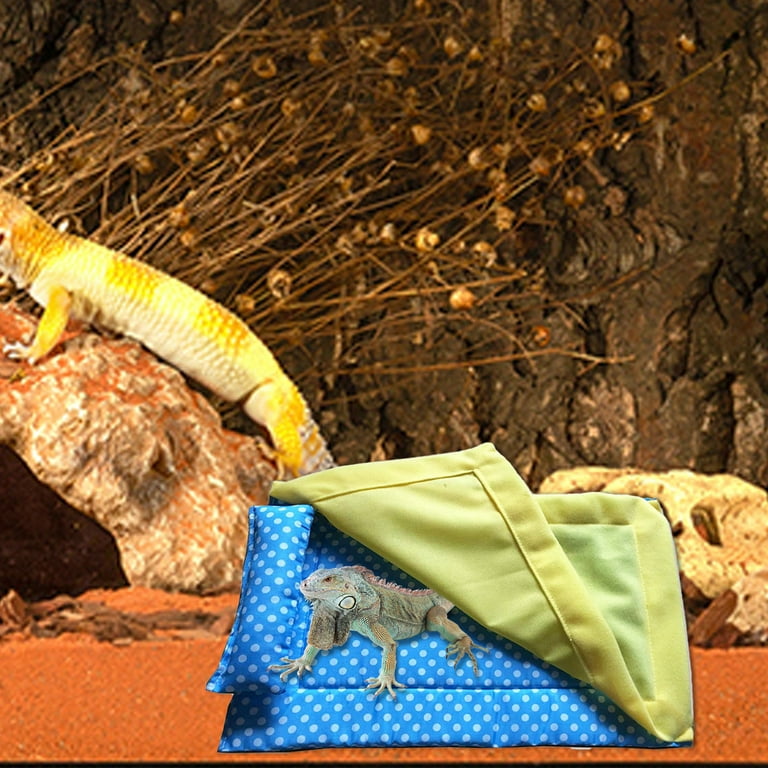 Bearded dragon sleeping hot sale bag