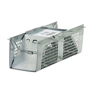 Havahart Large 1-Door Professional Live Animal Cage Trap for Raccoon,  Opossum, Groundhog, and Feral Cat 1079 - The Home Depot