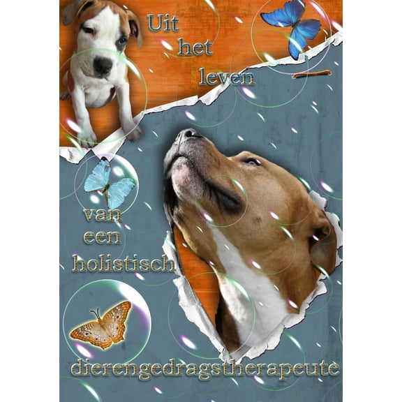 Uit het leven van een holistisch dierengedragstherapeute (Paperback)