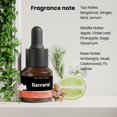 thumbnail image 2 of Aceite difusor ScentLuxe Hotel Inspired Baccarat de 15 ml para HVAC, 2 of 9