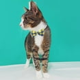 thumbnail image 3 of Paquete de 2 collares para gatos con pajarita y campana, collar para gatitos separador personalizado, 3 of 5