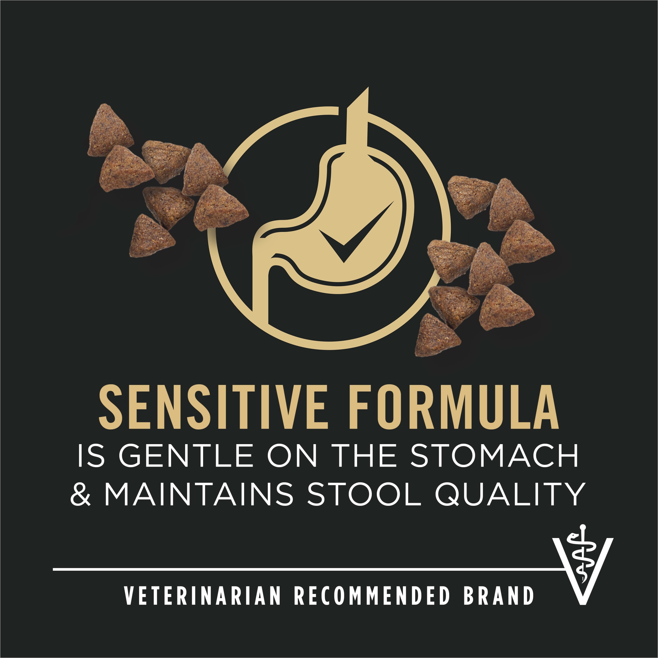 Purina Pro Plan Sensitive Skin Stomach Small Breed Salmon, 4 lb photo 2