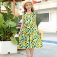 thumbnail image 2 of WRKEKC Dresses for Girls Flutter Sleeve Ombre Floral Print Pleated Fabric Waist Tie Swing Casual Summer Dress For Girls 3-10 Years, 2 of 5