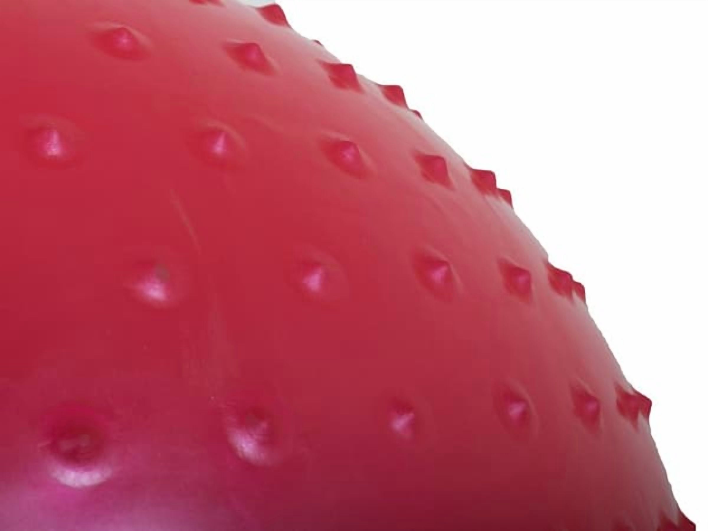 Gymnastics Ball / Pilates Ball with Pump - 55 cm—pa