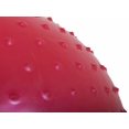 thumbnail image 1 of Gymnastics Ball / Pilates Ball with Pump - 55 cm—pa, 1 of 2