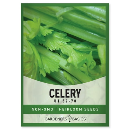 Utah 52-70 Celery Seeds