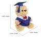 thumbnail image 2 of Graduation Bear Plush Bear with Gown Cap Tassel Set for Celebration, 2 of 5