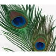 thumbnail image 2 of CafePress - Lovely Peacock Feathers Throw Blanket - Soft Fleece Throw Blanket, 50"x60" for All Ages, 2 of 2