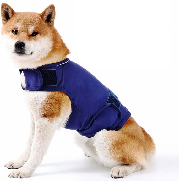 GASTROPOD Dog Anxiety Jacket, Skin-Friendly Dog Calming Shirt - Dog Coat for Thunder, Fireworks, Vet Visits and Separation - Keep Pet Calm without Medicine & Training, Anti Anxiety Vest for Dogs