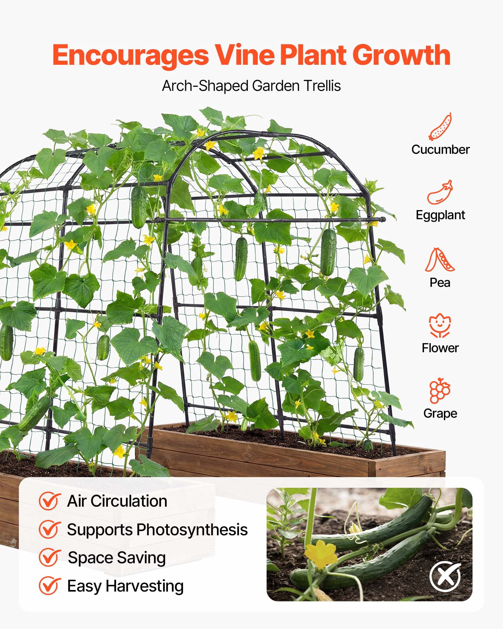 VEVOR Cucumber Trellis, U-Shape Garden Trellises for Raised Bed, Metal Arch Plant Support for Vine, Climbing Plants Outdoor, Peas, Beans, Zucchini, Tomato, Squash, Flower (70.87 x 44.09 x 82.99 in)