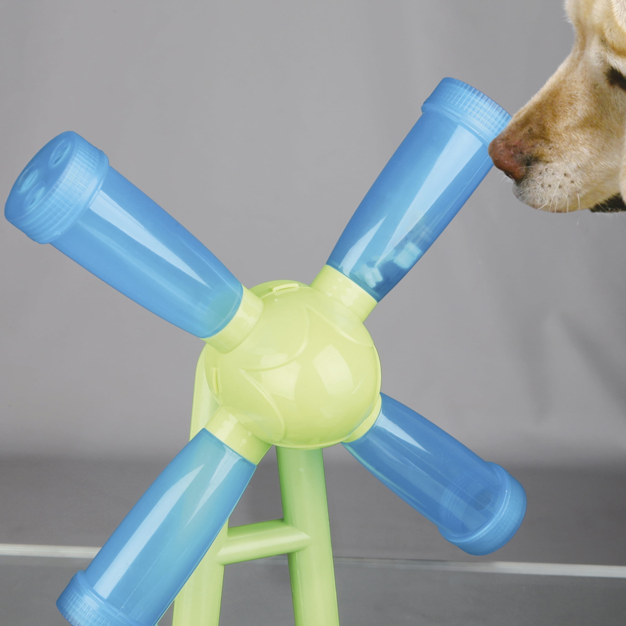 TRIXIE Gambling Tower Activity for Dogs (Level 1) - Blue/White