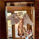 thumbnail image 5 of Bewildely Angel Ornament Window Panel Hanging Angel Suncatcher Decoración del hogar Decoración del hogar Bewildely HA035703-00, 5 of 6