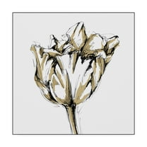 Trademark Fine Art 'Tulip Sketch I' Canvas Art by Ethan Harper