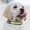 Green, variant on Large Dog Light Collar Yellow Led Dog Collar Yellow LED safety collar, suitable for large dogs, supports USB and solar charging, night light reflection waterproof