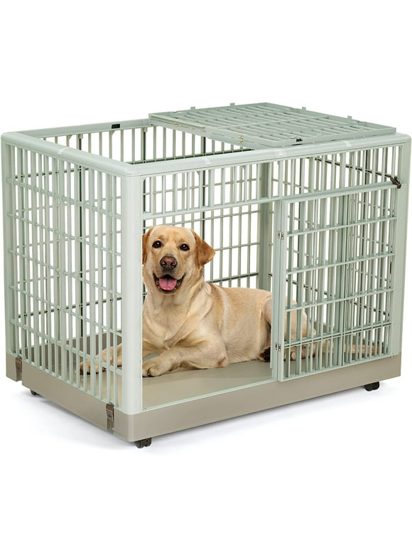 Large Dog Crates in Dog Crates