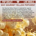 thumbnail image 3 of Great River Milling Gourmet Yellow Popcorn Kernels  Non-GMO Premium Popping Corn  Naturally Gluten Free, Large, Fluffy, Crunchy Popcorn for Stovetop, Air Popper, Whirley Pop, Theater-Style  3 Lb, 3 of 9