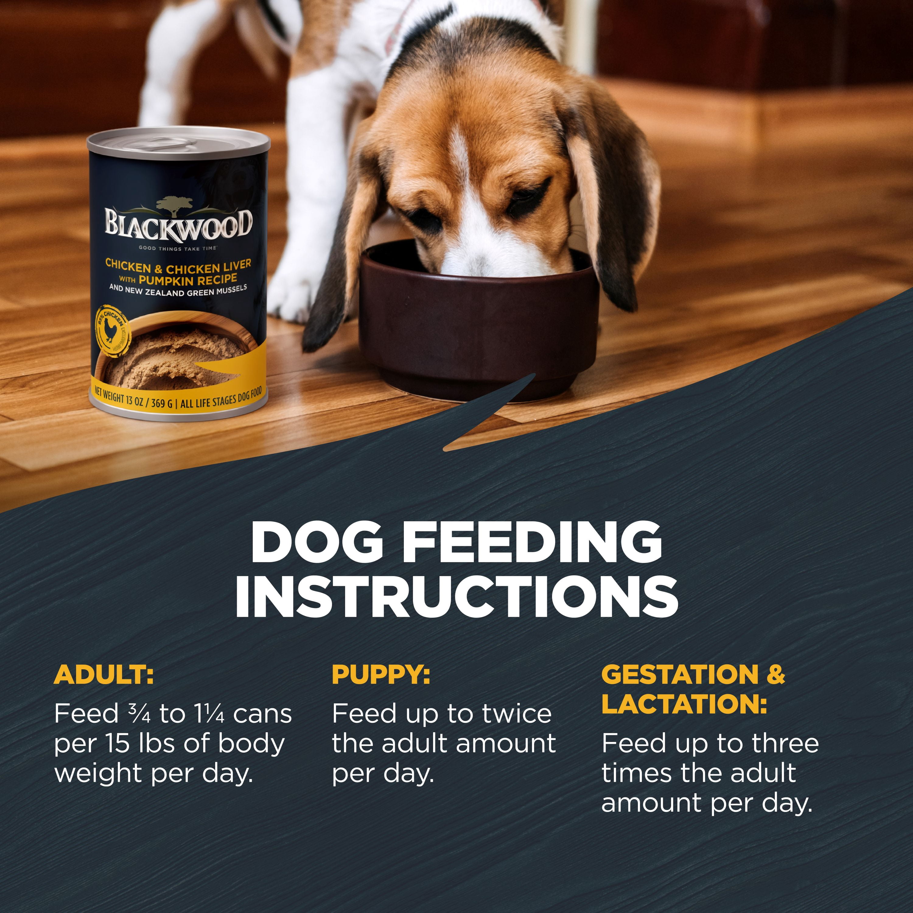 Blackwood Grain-Free Chicken & Chicken Liver with Pumpkin Wet Dog Food, 13 oz (12 Pack)