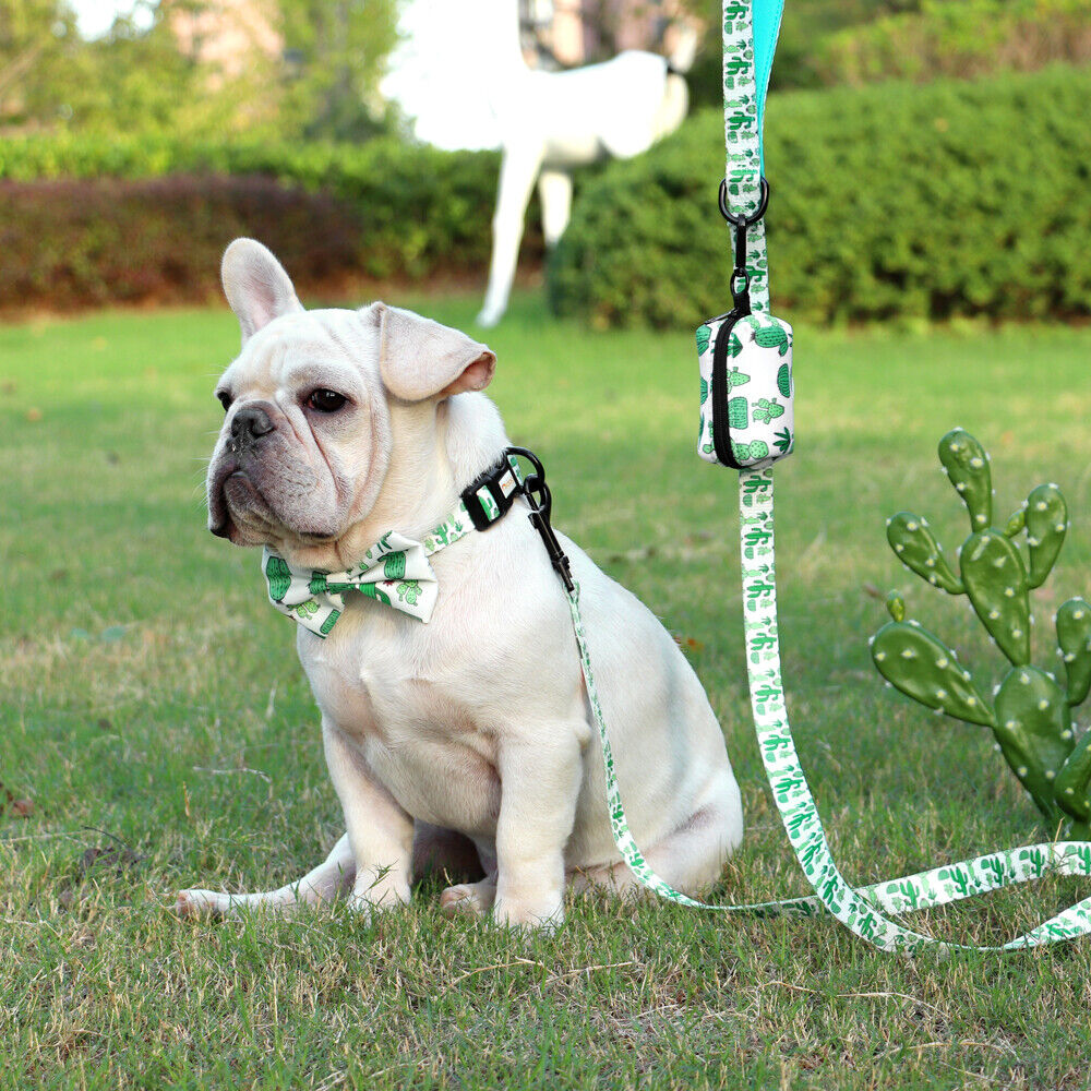 Didog Floral Cute Bowtie Dog Collar & Leash & Poop Bags Holder Adjustabale for Puppy