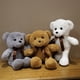 thumbnail image 5 of Muñeco de peluche de oso de 30cm y 16 estilos, muñeco de Animal de peluche suave, pequeño, rosa, gris, blanco, encantador, regalos de cumpleaños para niña y niño, 5 of 5