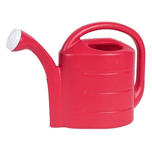 NEW Green Wonderful Contemporary Metal Watering Can 52 oz 