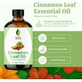 thumbnail image 2 of SVA Cinnamon Leaf Essential Oil – 4 Fl Oz – 100% Natural Cinnamon Oil - for Diffuser, Hair Care, Face, Skin Care, Aromatherapy, Scalp and Body Massage, Soap and Candle Making – with Dropper, 2 of 5