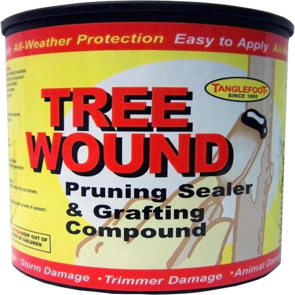 Tree Wound Pruning Sealer & Grafting Compound, Use to seal wounds and grafts By Tanglefoot