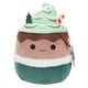 thumbnail image 1 of Juguete de peluche Squishmallows Original Ernesto The Peppermint Latte, 1 of 6