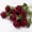 red, variant on Lifeuping 10Pcs Artificial Red Roses Flowers for Valentine's Day, Realistic Blossom Roses, Real Touch Silk Rose, Single Fake Flower Long Stem Bouquets for Home Wedding Party Decoration