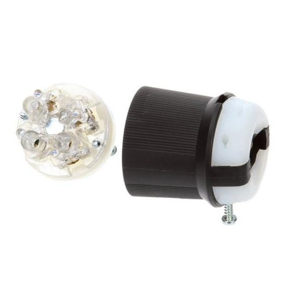 2.55 in. 3 Phase Plug