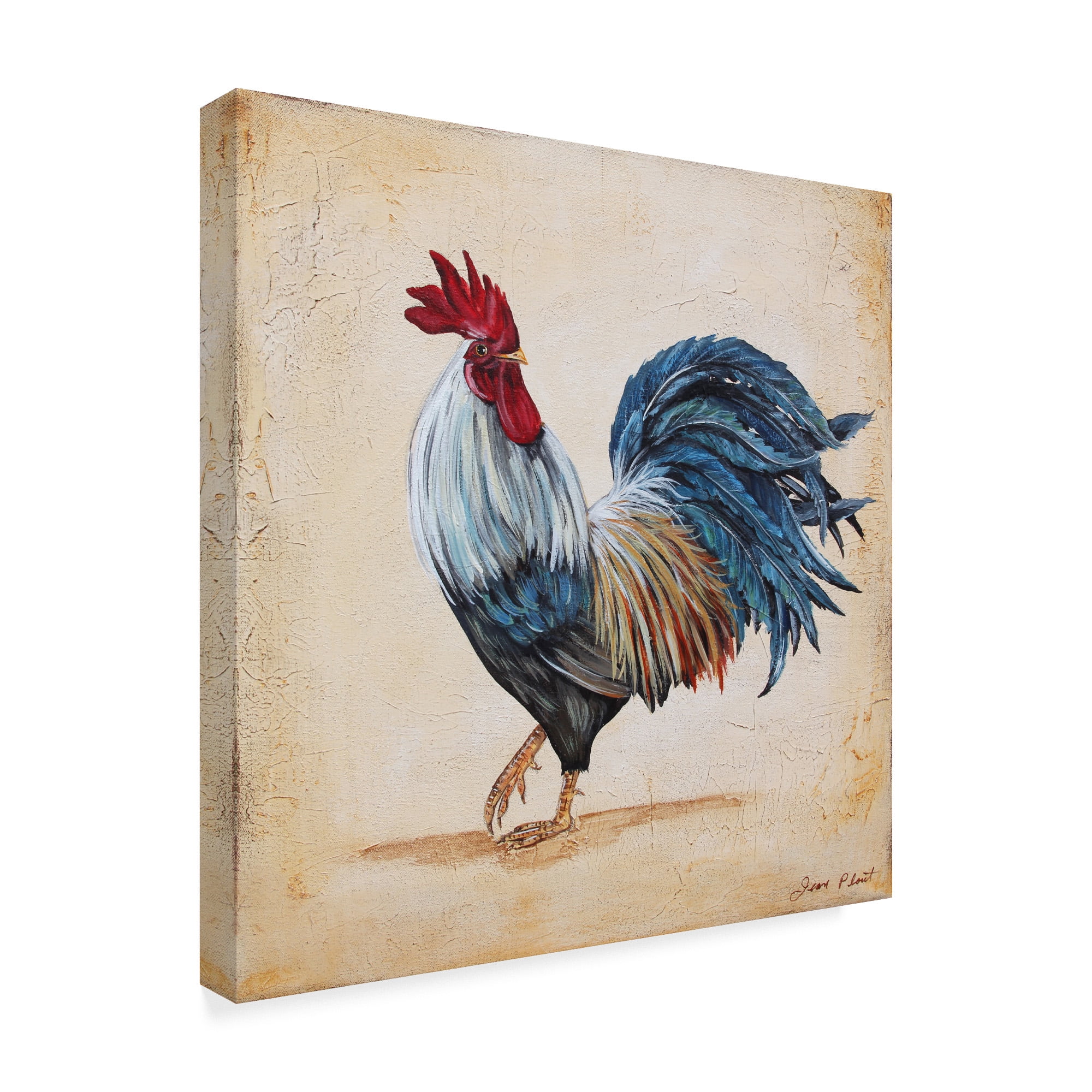 Trademark Fine Art 'Rooster 1' Canvas Art by Jean Plout