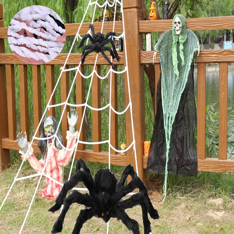 15 COOL SPIDER WEBS 