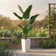 thumbnail image 3 of QinaQin Árbol artificial tipo platanera con maceta blanca alta, planta tropical decorativa ideal para sala, entrada, terraza u oficina, 3 of 7