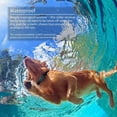 thumbnail image 3 of Collar de entrenamiento para perros, entrenador remoto para perros recargable por USB resistente al agua con vibración y modo de pitido para todas las razas de perros, naranja, 3 of 5