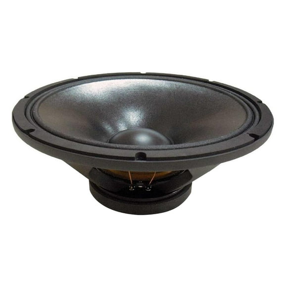 Bocina Beyma 10WR300 10' 300W 95dB