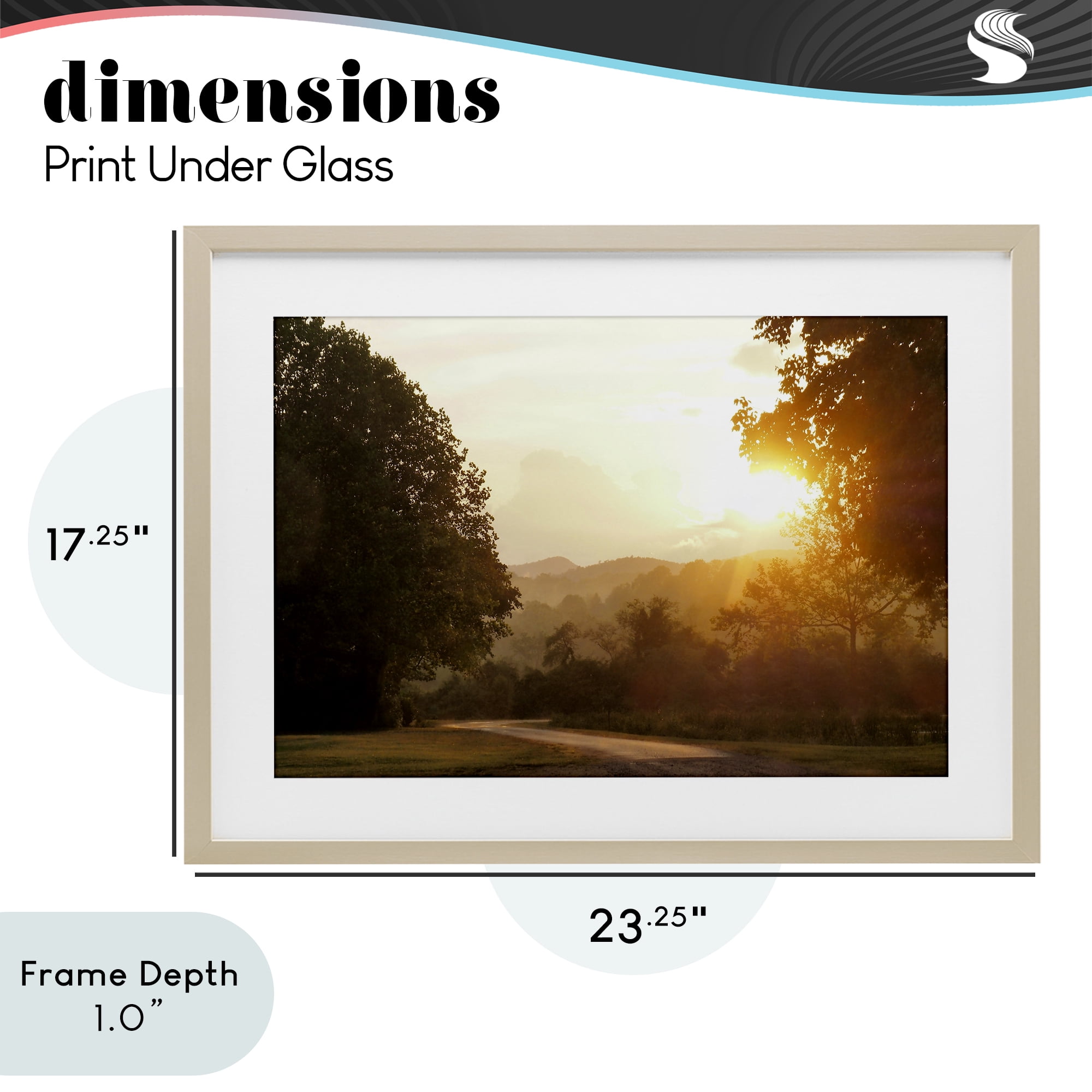 Stupell Industries Golden Morning Between Trees Birch Framed Print Under Glass, design by Gail Peck