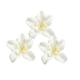 thumbnail image 4 of 20 orquídeas para decorar diademas, ramos, vestidos, sombreros y bodas (DIY). Blanquecino, 4 of 7