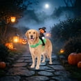 thumbnail image 5 of Halloween Pet Pumpkin Rider , Funny Dog Cat Pumpkin Knight Cosplay Outfit, Adjustable Pet Halloween Party Dress Up for Dogs Cats, Holiday Photo Prop, 5 of 5