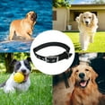 thumbnail image 5 of Collar de perro de lujo de nailon de doble grosor, 5 of 5