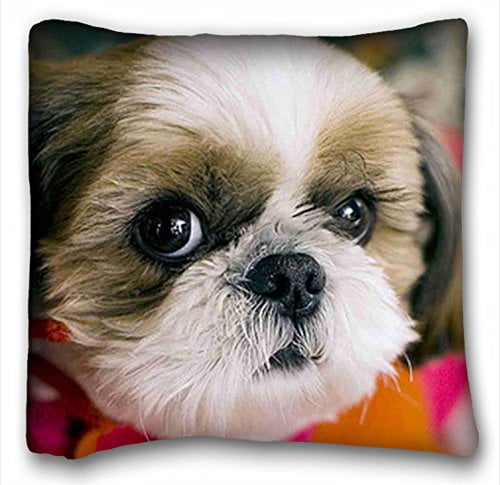 shih tzu cushion covers