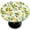 Color 11, variant on Lemon Summer Green Round Tablecloths with Elastic Edge Fitted Round Table Cloth Small Wipeable Washable Circle Table Covers for Dinner Patio Party Indoor Outdoor Kitchen Decor (Fit 36-44 in)