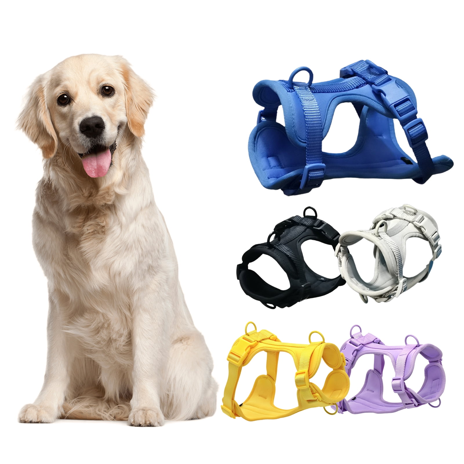 How Do You Clean A Dog Harness And Leash