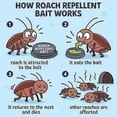 thumbnail image 5 of 16PCS Roach Bait & Killer Effective Cockroach Repellent and Gel for Quick Elimination of Indoor Roach Nests, Suitable of Roaches, Easy to Use, Perfec, 5 of 5