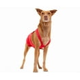 thumbnail image 4 of PRODOGG™ Anti-Anxiety Compression Shirt - Large to 2XL 159101B, 4 of 7