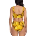 thumbnail image 3 of Rocae Ripe Yellow Lemon for Bikini Set for Women Two Piece Sexy High Swimsuits Split Crossover Bikini Small, 3 of 9