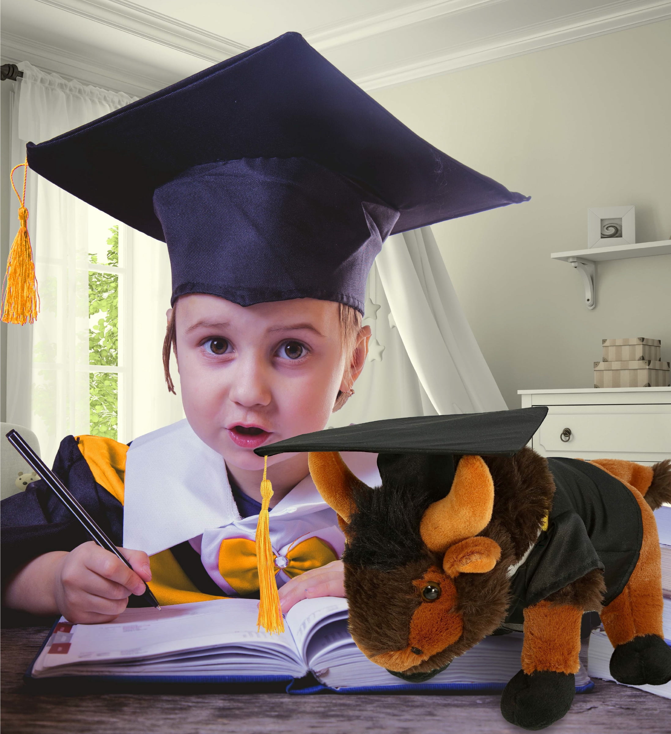 DolliBu Wild Small Buffalo Graduation Plush Toy - Super Soft Graduation Stuffed Animal Dress Up with Gown and Cap with Tassel Outfit - Reward Celebration Grad Gift - 9.5 Inches