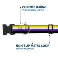 thumbnail image 5 of Buckle-Down Pet Collar, Dog Collar Plastic Buckle, Flag Non Binary Stripe, 8.5 to 12 Inches 0.5 Inch Wide, 5 of 8