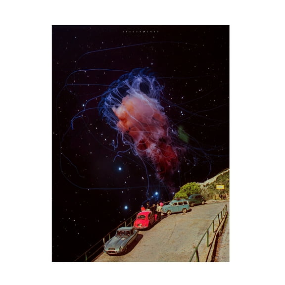 Trademark Fine Art spacerocket art 487 Canvas Wall Art